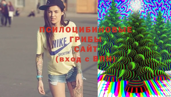 мескалин Кулебаки