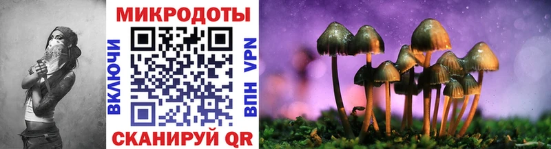 Псилоцибиновые грибы Cubensis  Павловский Посад 