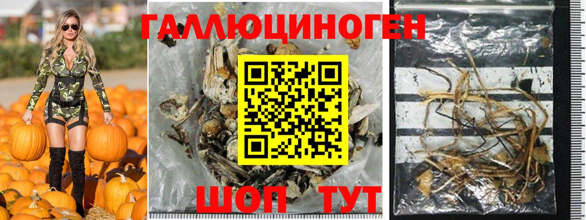 Псилоцибиновые грибы Magic Shrooms Павловский Посад