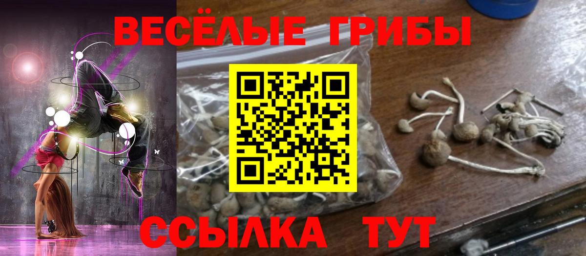 Псилоцибиновые грибы мицелий  Вход с VPN  купить наркотики сайты  Павловский Посад  Псилоцибиновые грибы прущие грибы 